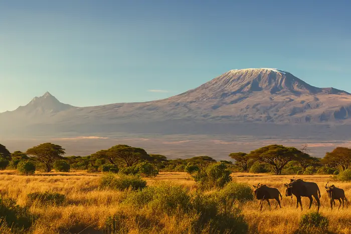 Best Time to Visit Tanzania
