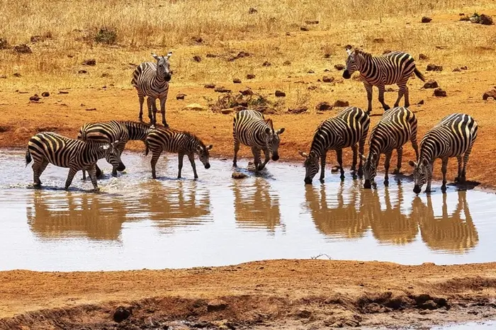 Tsavo East National Park