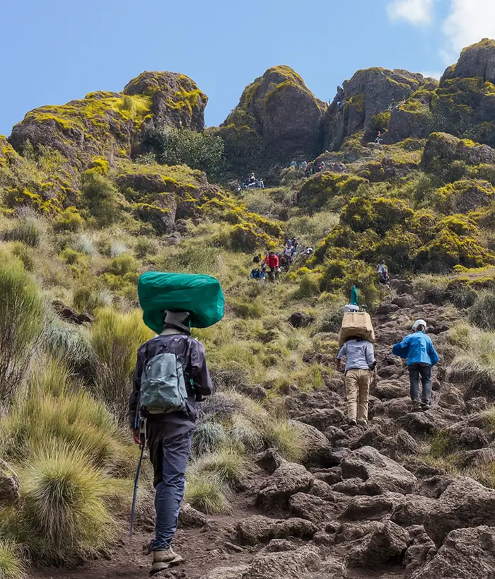 7 Days Lemosho Route